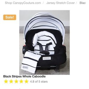 Car seat cover and Caboodle